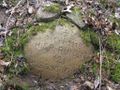 Miniatura wersji z 22:40, 16 mar 2014