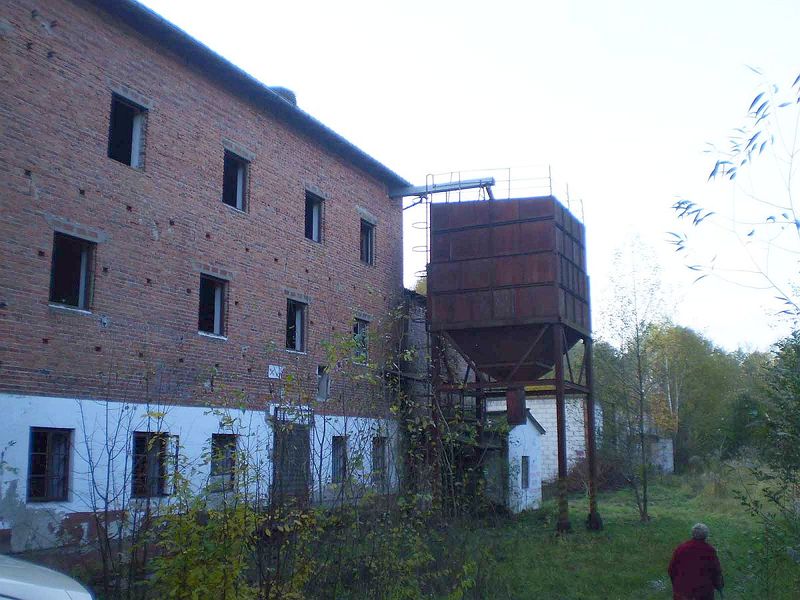 Plik:Krzewnomlyn.jpg