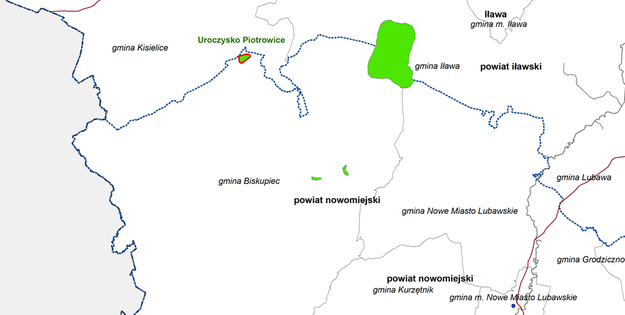 Rezerwat Uroczysko Piotrowice