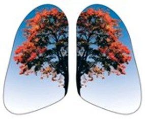 Fundacja "Zdrowe Płuca". Źródło www.pulmonologia.olsztyn.pl [10.06.2014]
