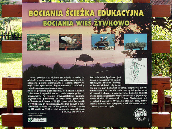 Bociania wieś w Żywkowie. Fot. Stanisław Kuprjaniuk