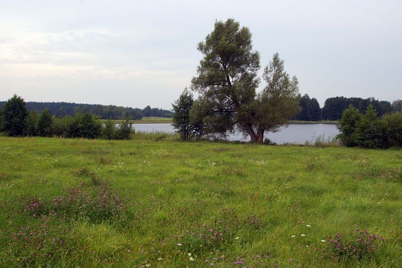 Plik:Mojtyny2.jpg