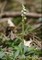 Miniatura wersji z 13:56, 31 sty 2015