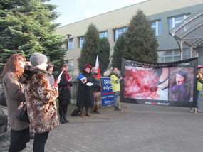Pikieta przeciw aborcji – Elbląg. Fot. Anna Dawid. Źródło: www.elblag.wm.pl [03.08.2014]