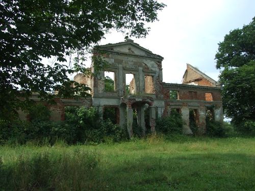 Limża. Ruiny pałacu. 2011. Fot. Michał Młotek. Źródło: www.fabryka-historii.pl [03.09.2026]