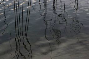 Jezioro Kot Źródło: mazury.com