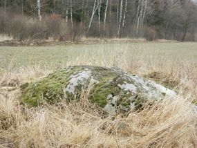 Głaz narzutowy (1) w Ruskiej Wsi © Alicja Szarzyńska