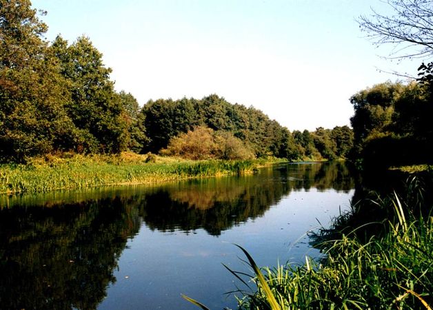 Wkra. Źródło: www.powiatmlawski.pl [10.07.2014]