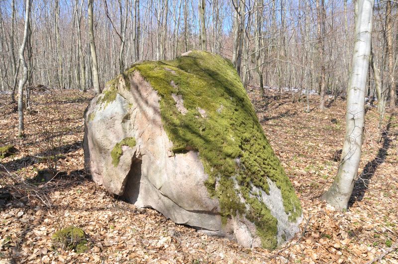 Plik:Głaz Dąbrowa.jpg