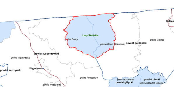 Lasy Skaliskie