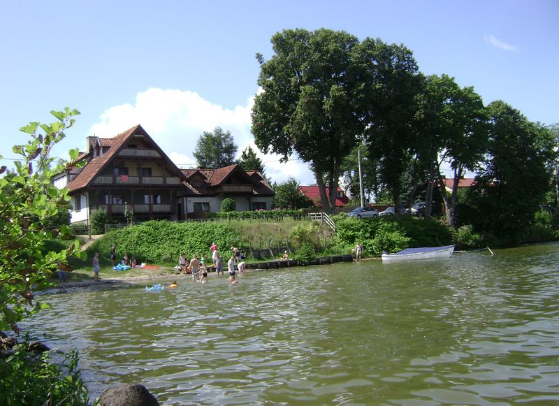 Plik:Nied.jpg