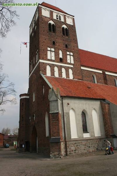 Plik:Nowee.jpg