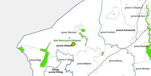 Rezerwat Buki Wysoczyzny Elbląskiej