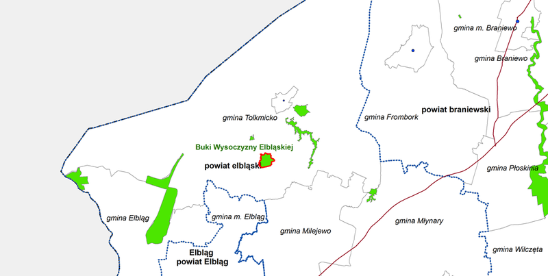 Plik:Buki wysoczyzny elblaskiej rp g.png