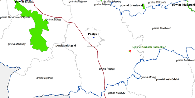 Rezerwat Dęby w Krukach Pasłęckich