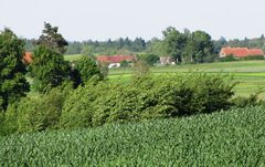 Miechy. Widok na wieś. Źródło: www.milki.wm.pl