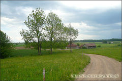 Lakiele