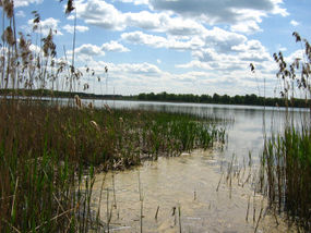 Fot. Panek. Źródło: Commons Wikimedia