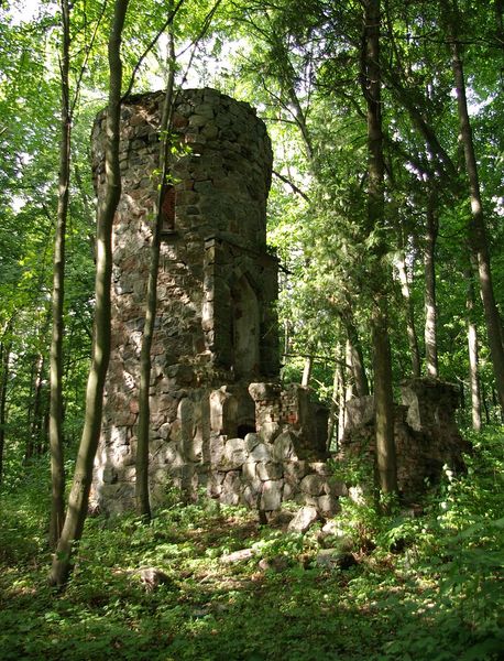 Plik:Ruiny Wieży Bismarcka.jpg
