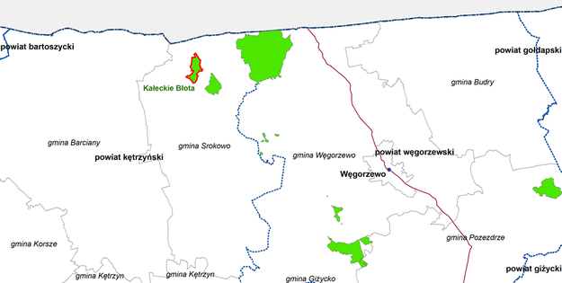 Rezerwat Kałeckie Błota