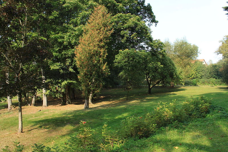 Plik:Park w Jędrychowie.jpg