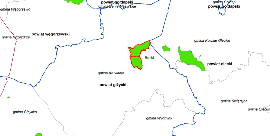 Rezerwat Borki