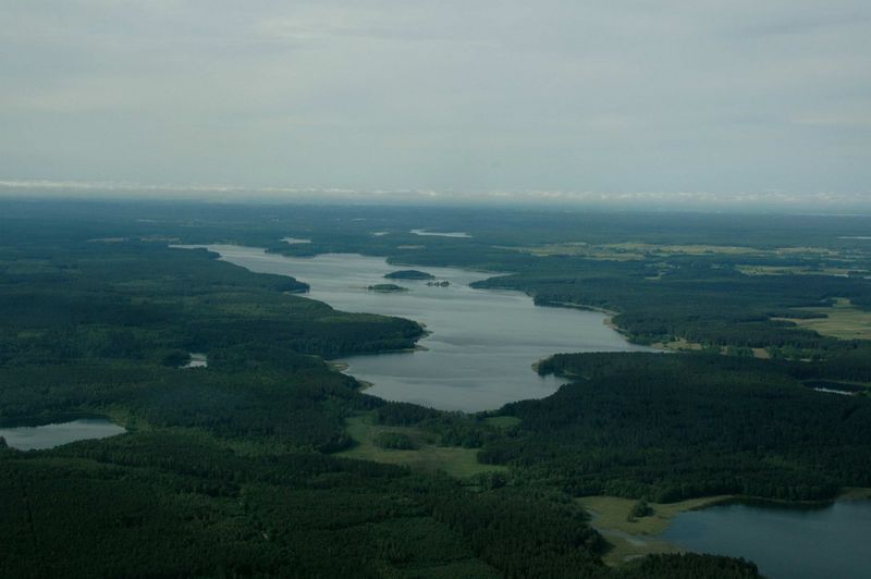 Plik:Mokreptak.JPG