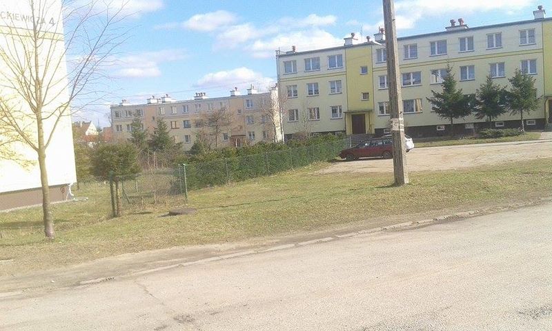 Plik:Chamowodrygaly.jpg