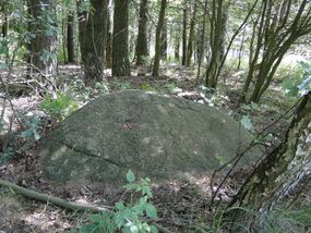Głaz narzutowy (4) w Truszczynach © Alicja Szarzyńska