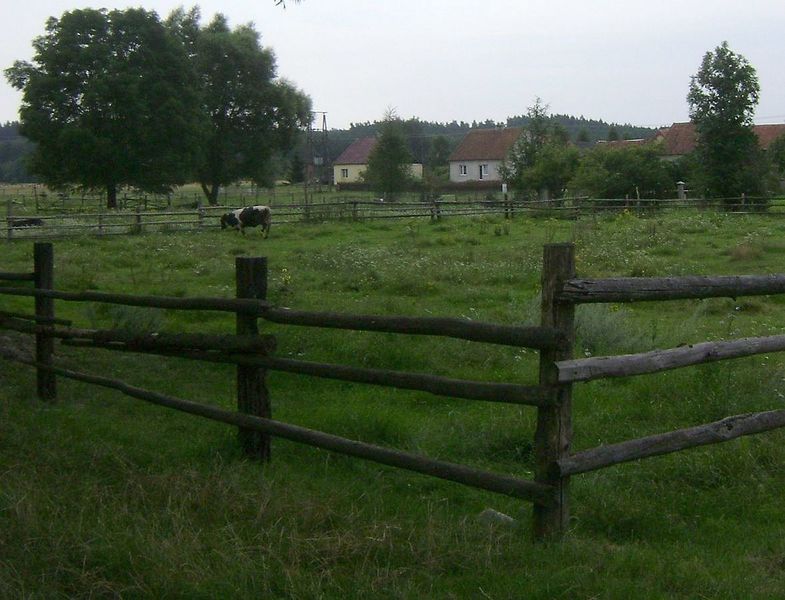 Plik:Napiwoda.jpg