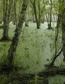 Miniatura wersji z 17:05, 16 lip 2014