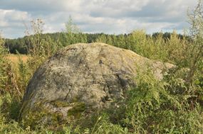 Głaz narzutowy w Gębałce © Alicja Szarzyńska