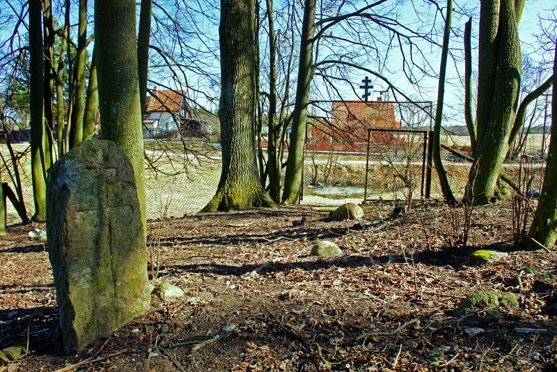Plik:Osiniak.jpg