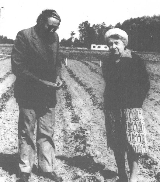 Plik:Anna korsak3.jpg