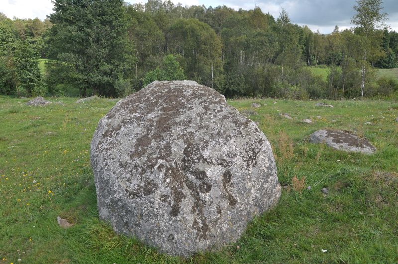 Plik:Głaz1 jeziorki.jpg