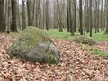 Miniatura wersji z 22:26, 24 sty 2015