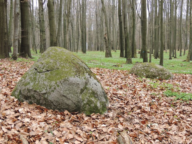 Plik:Głazowisko Dylewo.jpg