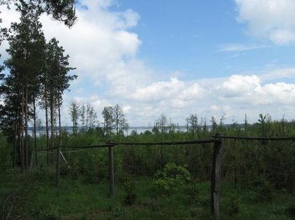 Jezioro Pogubie Wielkie Źródło: Wikimapia
