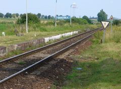Źródło: Wikimedia Commons