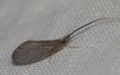 Miniatura wersji z 10:03, 24 mar 2015