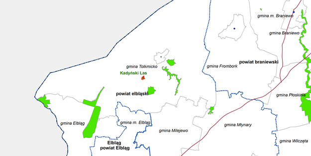 Rezerwat Kadyński Las