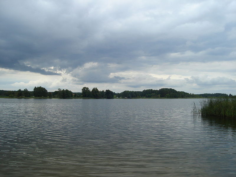 Plik:Duś.JPG