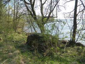 Głaz narzutowy na półwyspie Fuledzki Róg © Alicja Szarzyńska