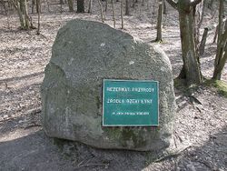 {{{Opis_zdjęcia}}}