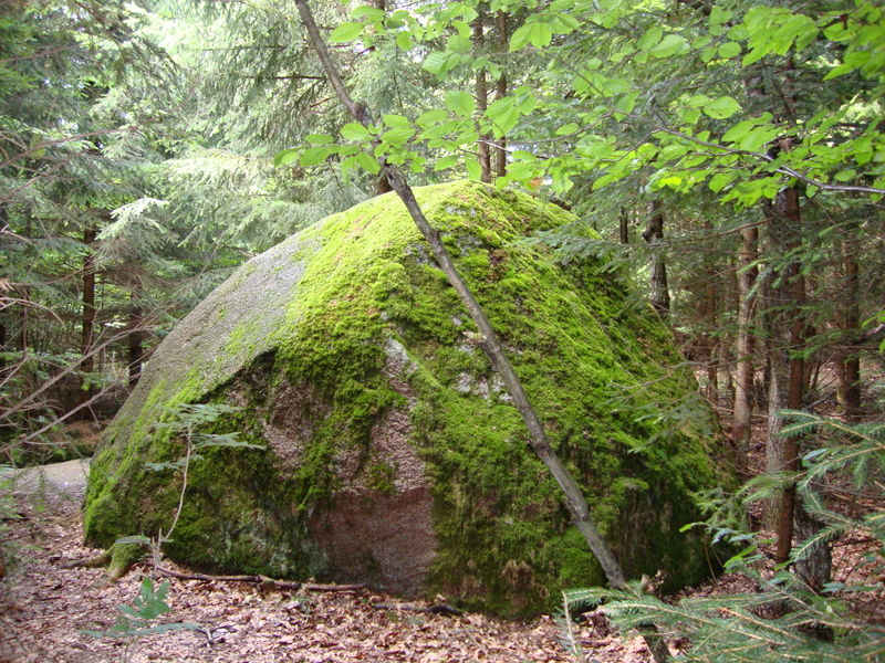 Plik:Borecka.jpg