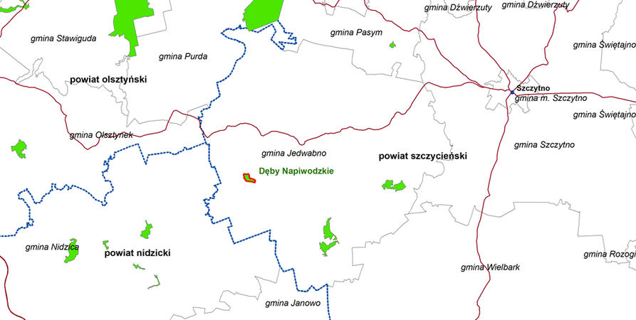 Rezerwat Dęby Napiwodzkie