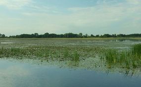 Fot. Aktron. Źródło: Commons Wikimedia