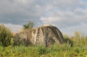 Głaz narzutowy w Piłakach Wielkich © Alicja Szarzyńska