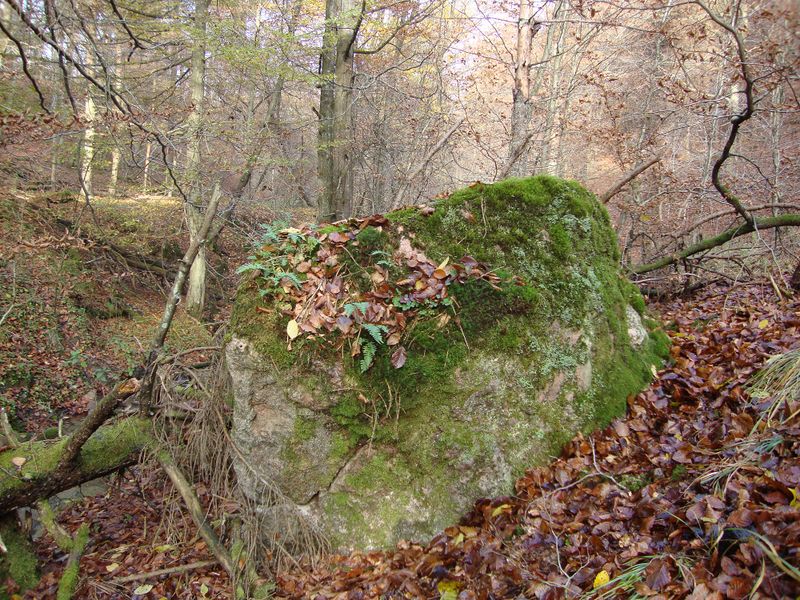 Plik:Gorki2.jpg