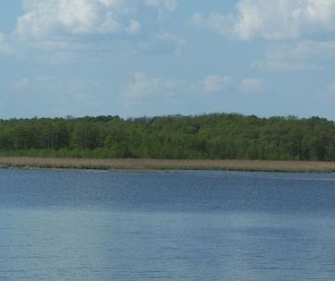 Jezioro Kirsajty. Fot. Bariusz0. Źródło: Commons Wikimedia